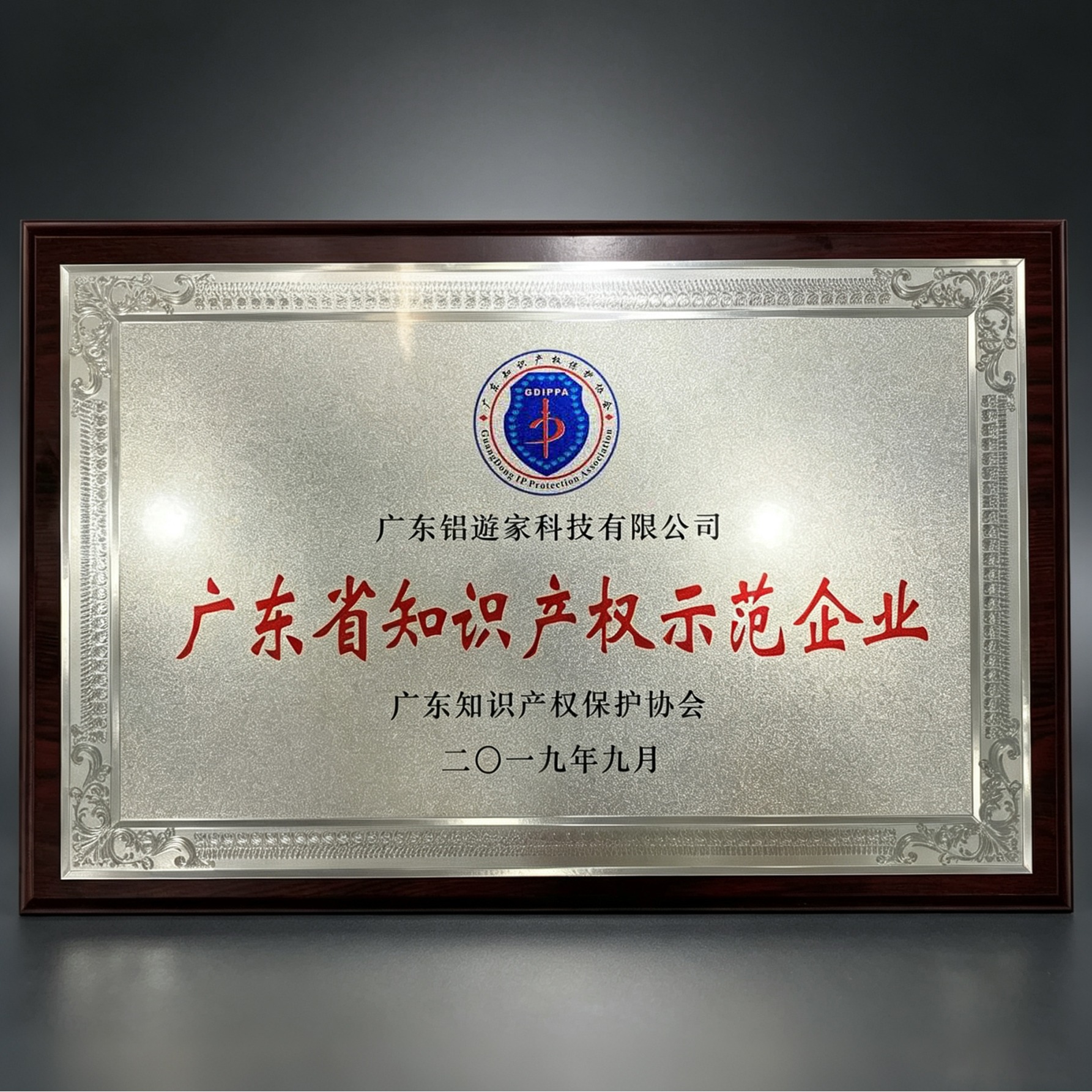 广东省知识产权示范企业