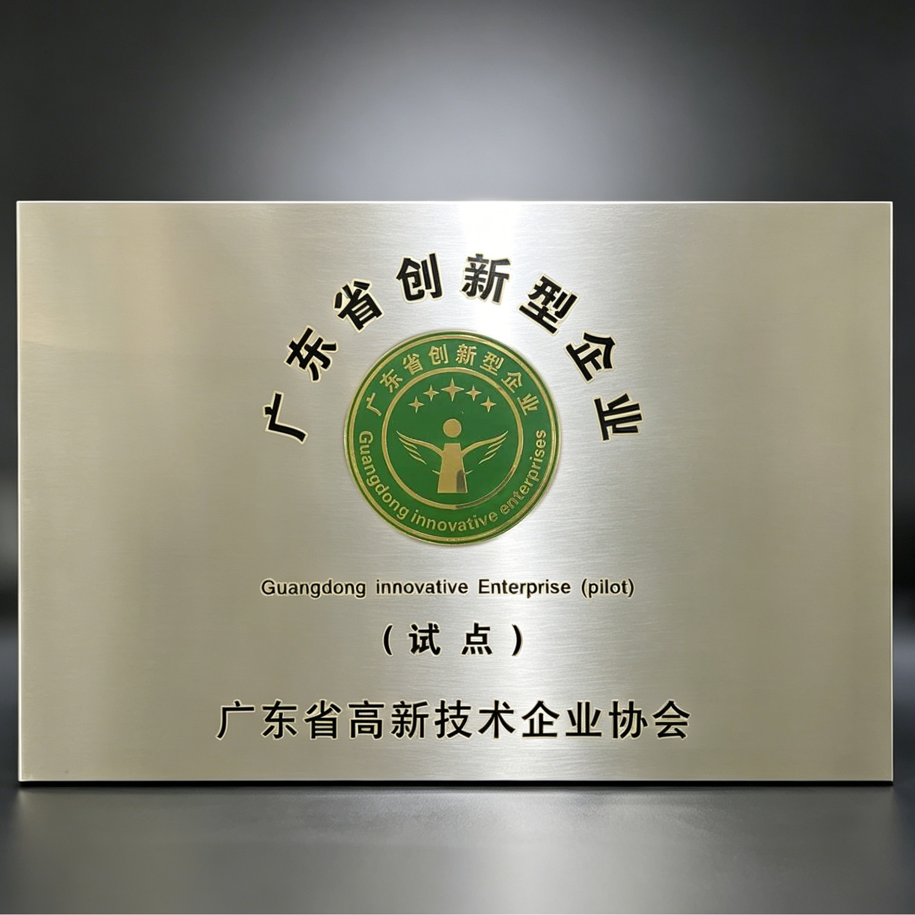 广东省创新型企业